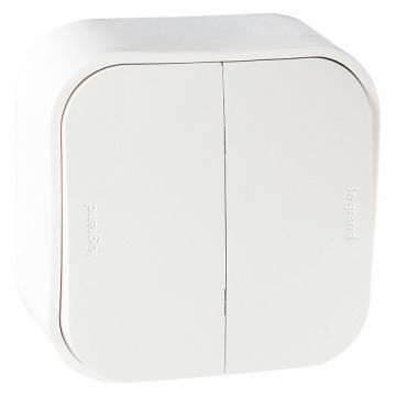 Выключатель накладной двухклавишный Legrand Quteo 782200 (белый) Выключатель накладной двухклавишный Legrand Quteo 782200 (белый)